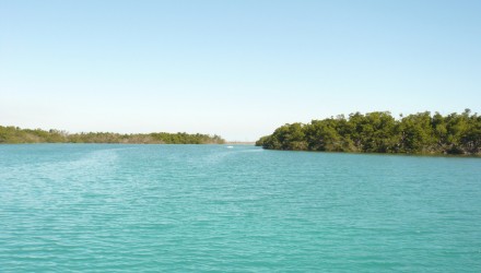 cuba010