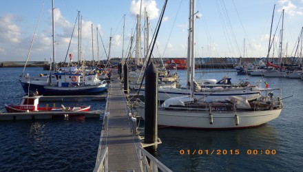 RIMG1183