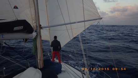 RIMG1246