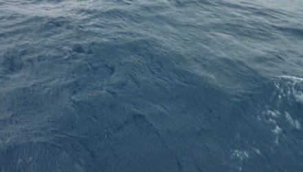 Caraibi traversata atlantica 2016 (109)