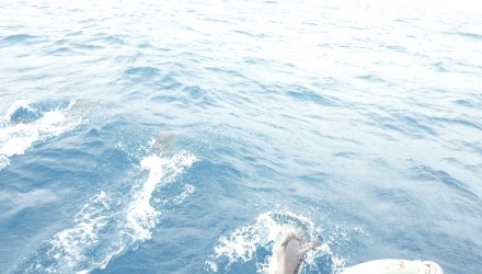 Caraibi traversata atlantica 2016 (112)