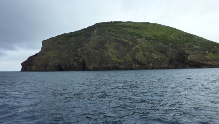 Bramosia da Le Marin ad Horta – In navigazione