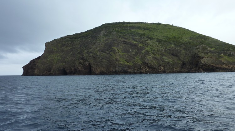 Bramosia da Le Marin ad Horta – In navigazione Bramosia da Le Marin ad Horta – In navigazione